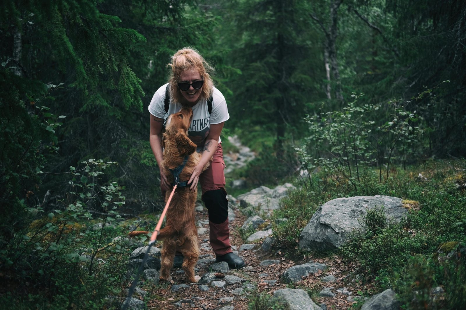 How To Create A Cat’s Patio Outdoor Space